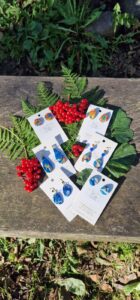 476635021 122199859298241516 1268986202153064272 n