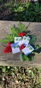 477992442 122199859208241516 7279808238744301123 n