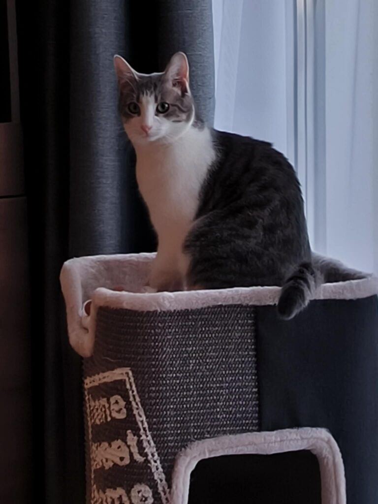 b809b1da 81df 4b20 9ea0 d034ba09e561